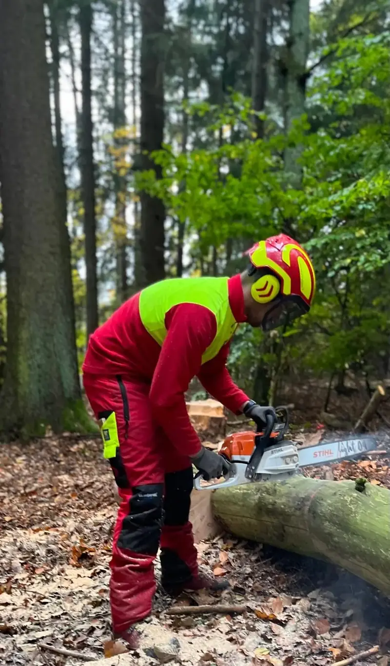 Pascal in Schnittschutzkleidung sägt einen Stamm